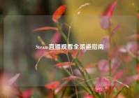 Steam直播观看全渠道指南