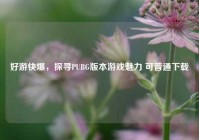好游快爆，探寻PUBG版本游戏魅力 可普通下载