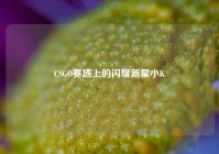 CSGO赛场上的闪耀新星小K
