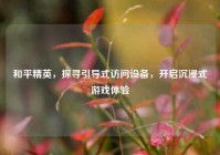 和平精英，探寻引导式访问设备，开启沉浸式游戏体验