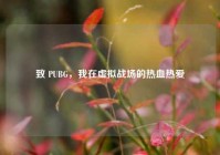 致 PUBG，我在虚拟战场的热血热爱