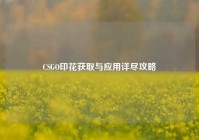CSGO印花获取与应用详尽攻略