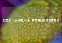 武圣卡，2888领取入口，开启奇幻武侠世界秘钥