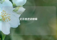 忆往昔逆战峥嵘