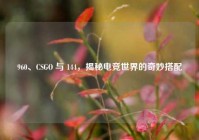 960、CSGO 与 144，揭秘电竞世界的奇妙搭配