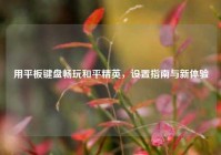 用平板键盘畅玩和平精英，设置指南与新体验