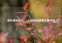 虎扑篮球论坛，CBA球迷的激情汇聚专区