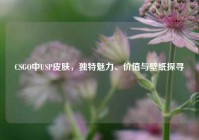 CSGO中USP皮肤，独特魅力、价值与壁纸探寻