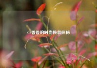 CF香香的时尚换装探秘