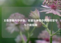 王者荣耀内存小版，轻量化体验中的游戏坚守与下载指南