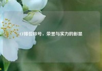 CF排位称号，荣誉与实力的彰显