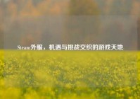 Steam外服，机遇与挑战交织的游戏天地