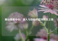 斯台普斯中心，湖人与快船的篮球共生之地