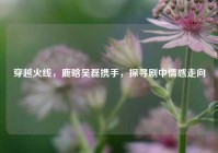穿越火线，鹿晗吴磊携手，探寻剧中情感走向