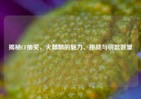 揭秘CF抽奖，火麒麟的魅力、挑战与钥匙数量