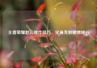 王者荣耀赵云操作技巧，化身龙胆驰骋峡谷