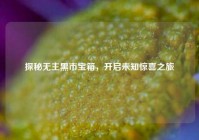 探秘无主黑市宝箱，开启未知惊喜之旅