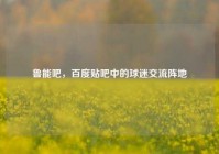 鲁能吧，百度贴吧中的球迷交流阵地