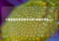 小黑盒能否查询使命召唤16信息及查看cokey