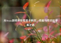 从Steam游戏体验看显卡购买，性能与性价比平衡之选