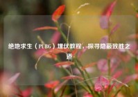 绝地求生（PUBG）埋伏教程，探寻隐蔽致胜之道