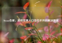 Steam仓库，游戏世界入口及打不开的解决困扰