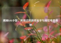 揭秘LOL小智，其用过的游戏名字与背后电竞传奇