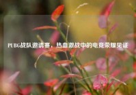 PUBG战队邀请赛，热血激战中的电竞荣耀见证