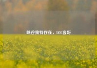 峡谷独特存在，LOL言哥