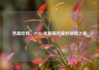 热血吃鸡，PUBG电脑版的奇妙游戏之旅