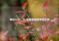 畅玩PUBG，PIC电脑版极致体验之旅