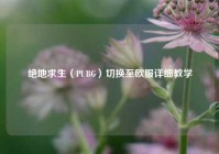 绝地求生（PUBG）切换至欧服详细教学