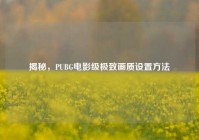 揭秘，PUBG电影级极致画质设置方法