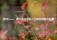 探寻Steam，数字游戏世界入口及密码修改位置