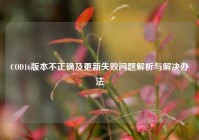 COD16版本不正确及更新失败问题解析与解决办法
