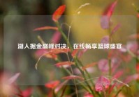 湖人掘金巅峰对决，在线畅享篮球盛宴