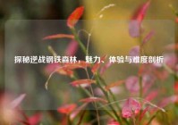 探秘逆战钢铁森林，魅力、体验与难度剖析