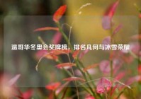 温哥华冬奥会奖牌榜，排名几何与冰雪荣耀