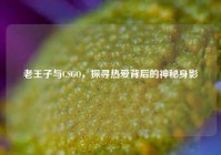 老王子与CSGO，探寻热爱背后的神秘身影