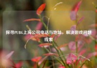 探寻PUBG上海公司电话与地址，解决游戏问题线索
