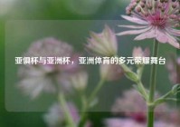 亚俱杯与亚洲杯，亚洲体育的多元荣耀舞台