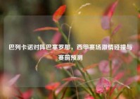 巴列卡诺对阵巴塞罗那，西甲赛场激情碰撞与赛前预测