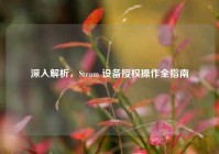 深入解析，Steam 设备授权操作全指南