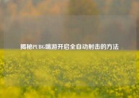 揭秘PUBG端游开启全自动射击的方法