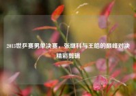2013世乒赛男单决赛，张继科与王皓的巅峰对决精彩剪辑