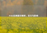 PUBG拉闸提示解析，含义与影响
