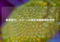 畅享魅力，CCTV - 3 卫视在线直播精彩世界