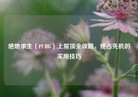 绝地求生（PUBG）上屋顶全攻略，抢占先机的实用技巧