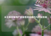 从王者荣耀用户数据看游戏魅力与行业影响