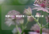 探索CFVE，揭秘紫魔（cfvepr12）获取之道